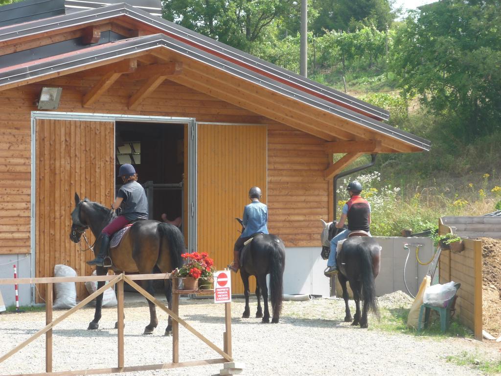 Micro-Cottage In Pietra La Ratatouille Dego ภายนอก รูปภาพ