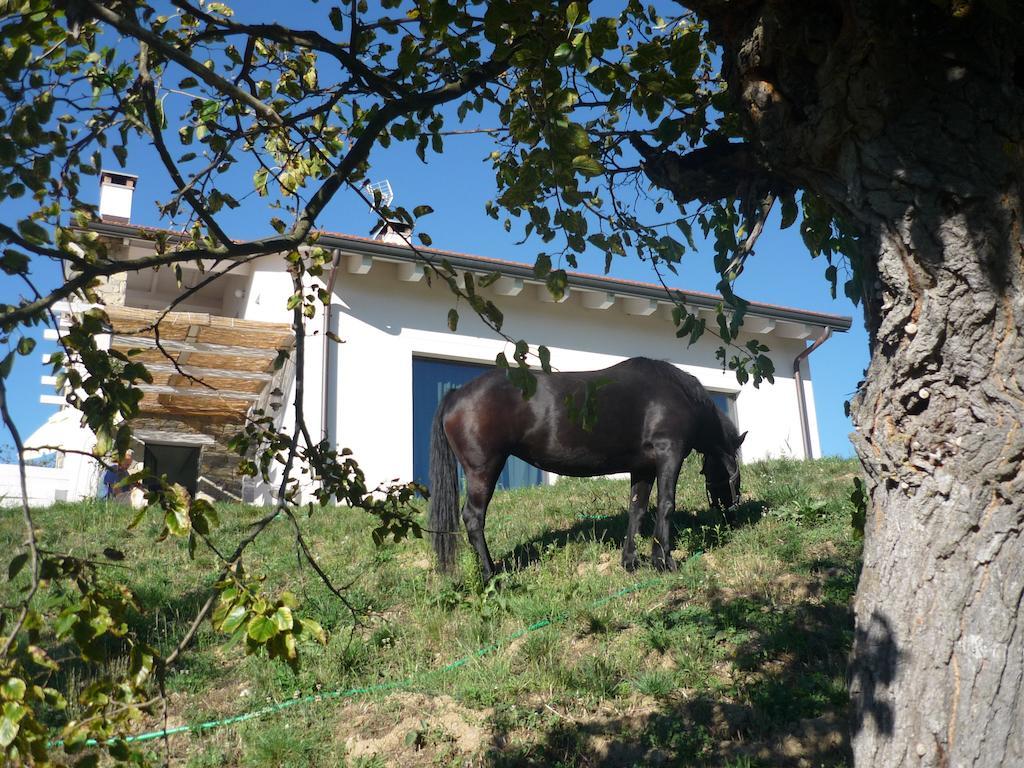Micro-Cottage In Pietra La Ratatouille Dego ภายนอก รูปภาพ