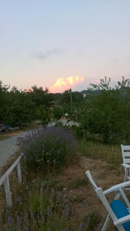 Micro-Cottage In Pietra La Ratatouille Dego ภายนอก รูปภาพ