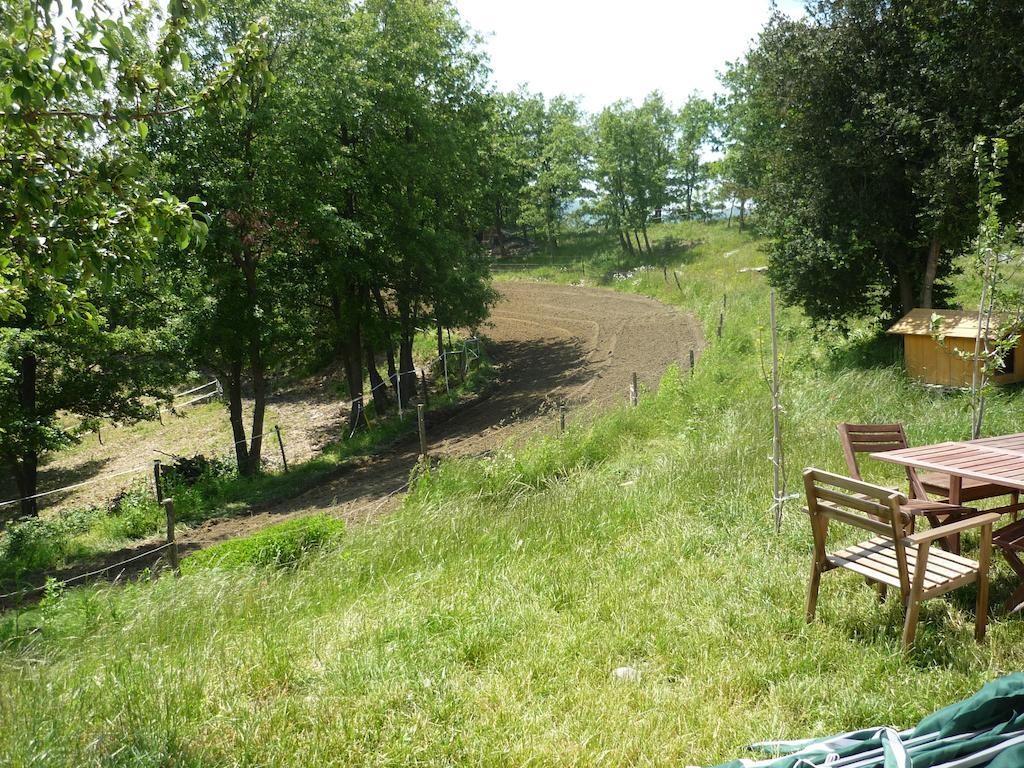 Micro-Cottage In Pietra La Ratatouille Dego ภายนอก รูปภาพ